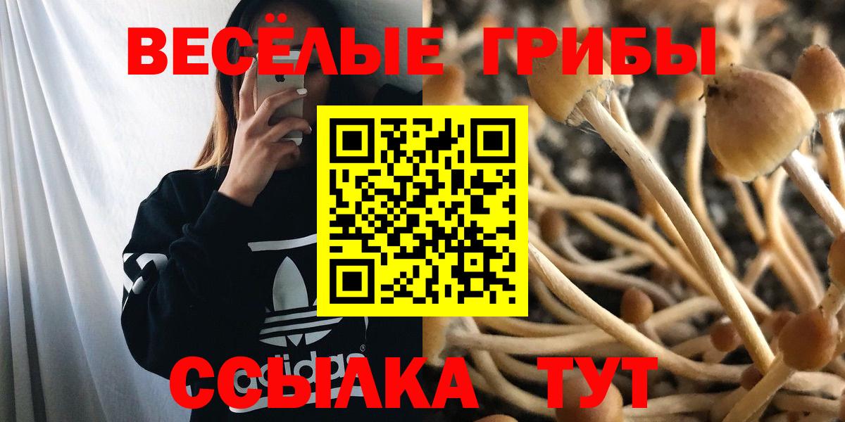 Галлюциногенные грибы прущие грибы Пугачёв